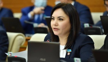 Ряды НПК редеют: Скакова заявила о выходе из партии