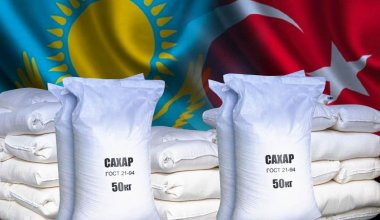Турецкая компания инвестирует в строительство сахарного завода в Шу