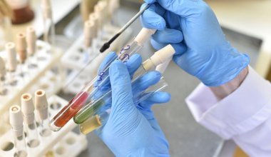 ВОЗ не будет исследовать происхождение коронавируса
