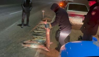 Более 120 кг рыбы изъяли у браконьера в Мангистау