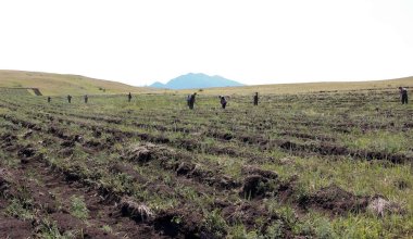 В Казахстане будут по-новому предоставлять земельные участки