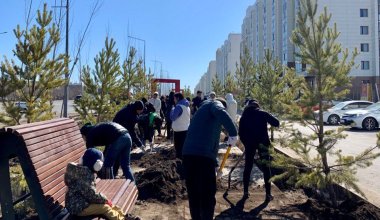 В 2023 году в Астане высадят миллион деревьев и кустарников