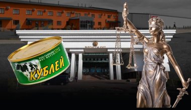 «Кублей» не сдаётся: уральский жилищно-производственный конфликт придётся решать в Астане