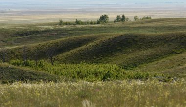 Земельный участок стоимостью 120 млн тенге вернули в собственность государства