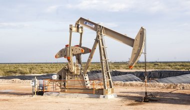 Глава ТОО обещала устроить в нефтяную компанию в Актюбинской области