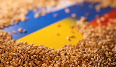 Турция рассчитывает на продление зерновой сделки минимум на два месяца - МИД