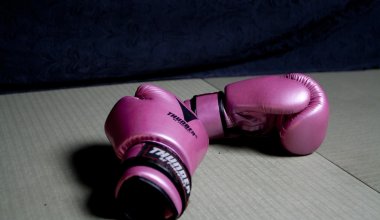 Чемпионат мира по боксу пройдет в Казахстане