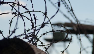 Мать троих детей осудили за организацию финпирамиды в Костанайской области