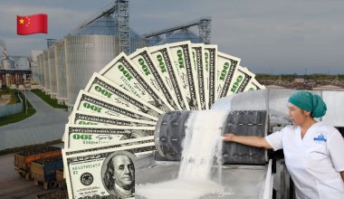 Китай нам в помощь или почему в Казахстане сахарную отрасль миллиарды не могут спасти