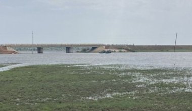 12-летний подросток упал с лошади в воду и утонул в Атырауской области