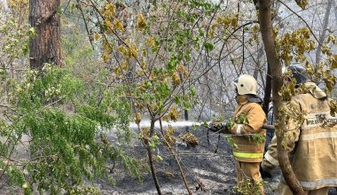 Площадь пожара в области Абай достигла 30 тысяч гектаров