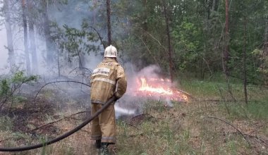 Все пропавшие лесники в области Абай погибли