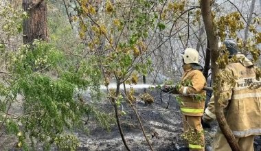 Пожар в области Абай идет в сторону Каштакского лесничества