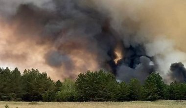 Акиму области Абай объявлен выговор