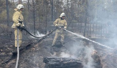 Труднодоступность местности: в Абае приостановили прокладку противопожарной полосы