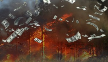 Чем погибшие лесники пожар тушили: анализ госзакупок «Семей орманы»