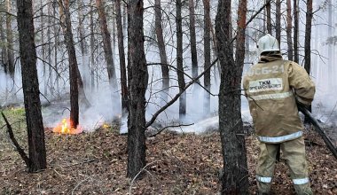 Допрос из-за пожара в Абае устроят Ильину, Уранхаеву, Сулейменовой и Ахметову