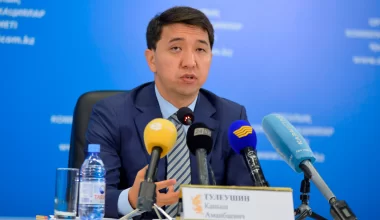Каныш Тулеушин назначен первым вице-министром цифрового развития