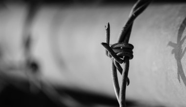 Главу крестьянского хозяйства и сотрудников Минсельхоза осудили в Шымкенте