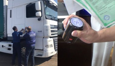 Авто регистрировали по поддельным документам в Казахстане: задержаны ОПГ