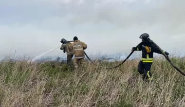 Пожар в пригороде Астаны: акимат сделал заявление