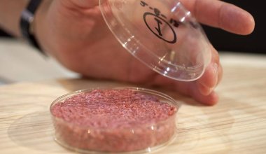 В США разрешили продавать мясо из "пробирки"
