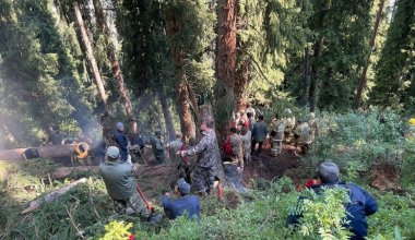 Пожар разгорелся в районе Кольсайских озер