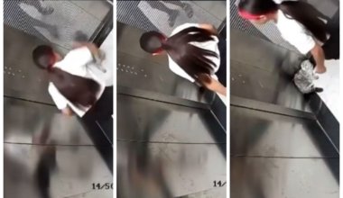 В Алматы девочка жестоко избила кошку и попала на видео