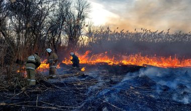 В области Абай произошло загорание камыша
