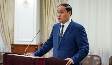 Не смотрим, кто папа — министр о дочери Ахметова, предположительно получившей госсубсидии