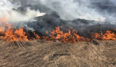 В ЗКО загорелся сухостой
