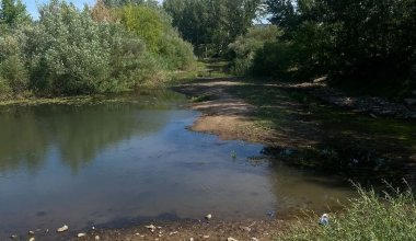 Это позор: активисты заявили об экологической катастрофе в пригороде Астаны