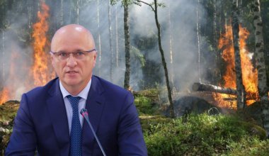 Спросите Скляра: Минтруда пока не выяснил причину гибели лесников в Абайской области
