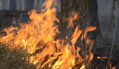 В каких регионах Казахстана сохраняется пожарная опасность