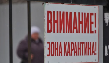 Карантин ввели в Актюбинской области из-за бешенства