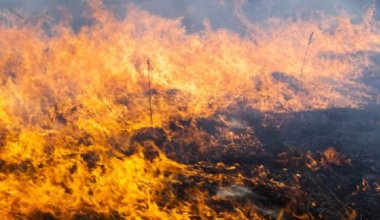 В каких регионах Казахстана сохраняется пожарная опасность