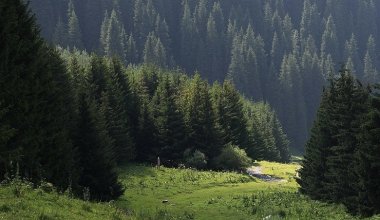 Разбили асфальт, пропала вода: стройку на Бутаковке сняли на видео