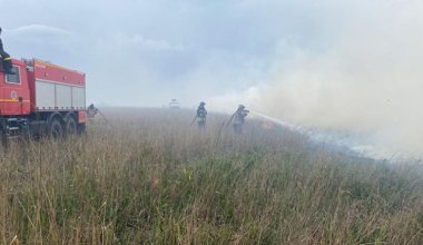 Пожар в резервате "Семей Орманы" удалось локализовать