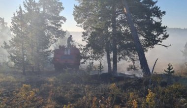 Денежные выплаты будут получать семьи погибших лесников в Казахстане