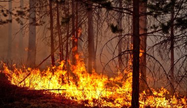 В каких регионах Казахстана сохраняется пожарная опасность