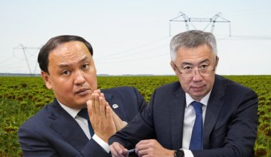 Крестьяне против пошлин, или Почему правительство Казахстана не любит отечественное подсолнечное масло