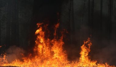 Пожарная опасность сохраняется на большей части Казахстана