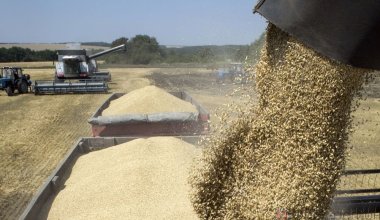 Казахстан экспортировал продукцию АПК на 2,7 млрд долларов