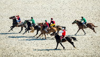 Власти не смогли ответить, сколько потратят на Всемирные игры кочевников в Астане