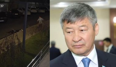 Сами разберутся - депутат Турлыханов о драке сына с женщиной