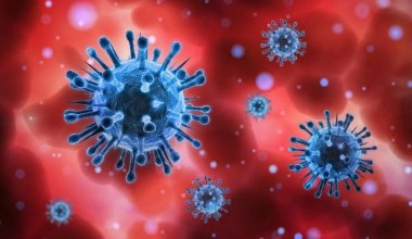 ВОЗ хочет получить от Китая больше информации о происхождении коронавируса