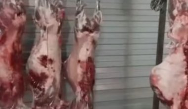 Резкая смена деятельности или Как обычная автомойка превратилась в бойню для сайги
