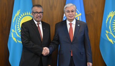 Токаев принял Тедроса Гебрейесуса: о чем говорили президент и глава ВОЗ