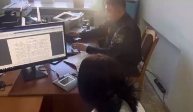 Жительница Павлодара извинилась за то, что облила кошку уксусом