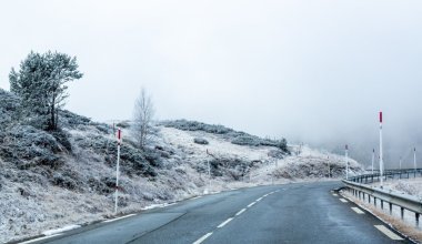 Режим ЧС объявили в Жамбылской области